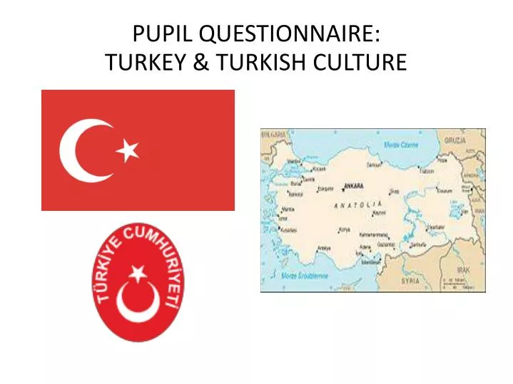 pupil questionnaire turkey turkish culture