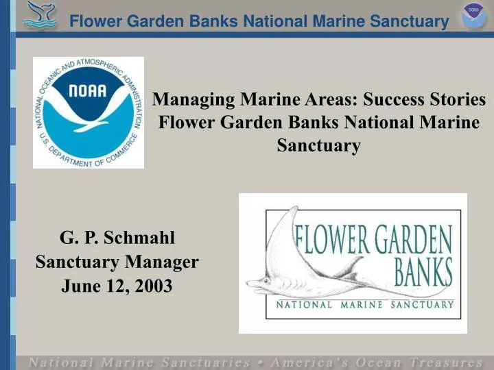 managing marine areas success stories flower garden banks national marine sanctuary