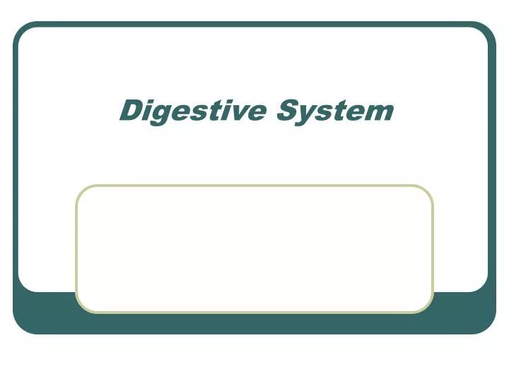 digestive system