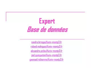 expert base de donn es