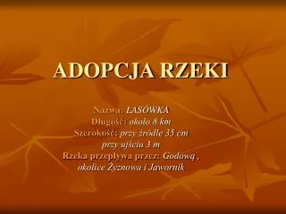 adopcja rzeki