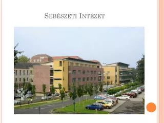seb szeti int zet