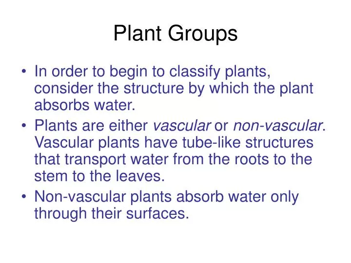plant groups