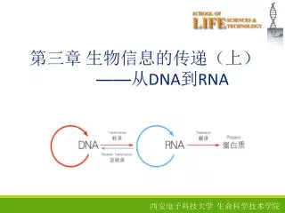 dna rna