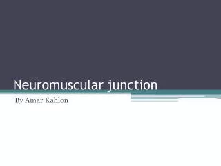 Neuromuscular junction