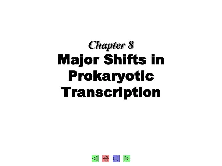chapter 8 major shifts in prokaryotic transcription