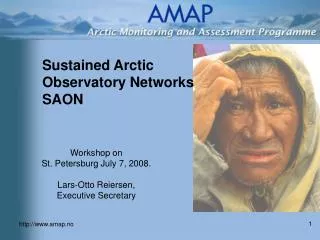 Sustained Arctic Observatory Networks SAON