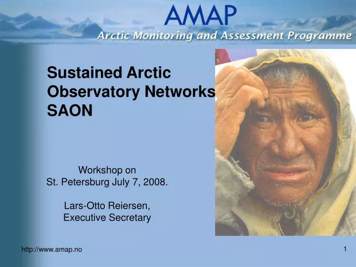 sustained arctic observatory networks saon