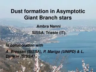Dust formation in Asymptotic Giant Branch stars
