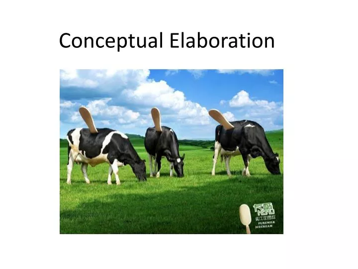 conceptual elaboration