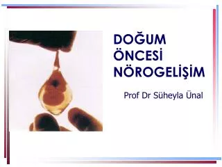 do um nces n rogel m