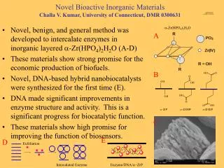 Novel Bioactive Inorganic Materials Challa V. Kumar, University of Connecticut, DMR 0300631