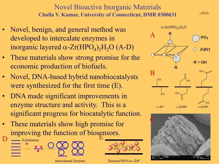 novel bioactive inorganic materials challa v kumar university of connecticut dmr 0300631