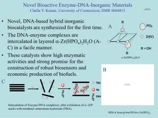 Novel, DNA-based hybrid inorganic biocatalysts are synthesized for the first time.