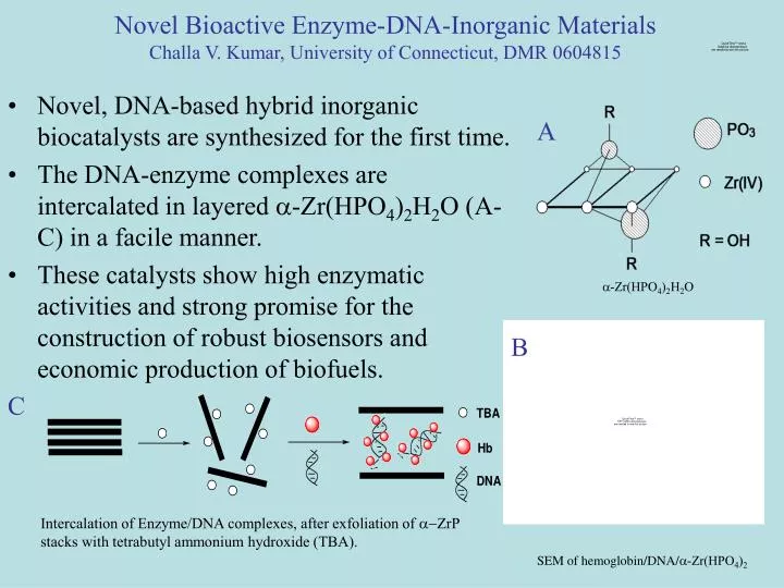 novel bioactive enzyme dna inorganic materials challa v kumar university of connecticut dmr 0604815