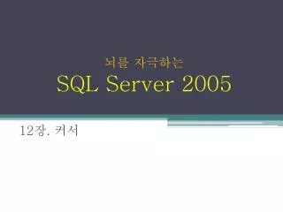 sql server 2005