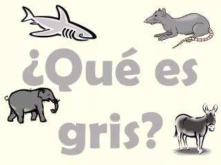qu es gris
