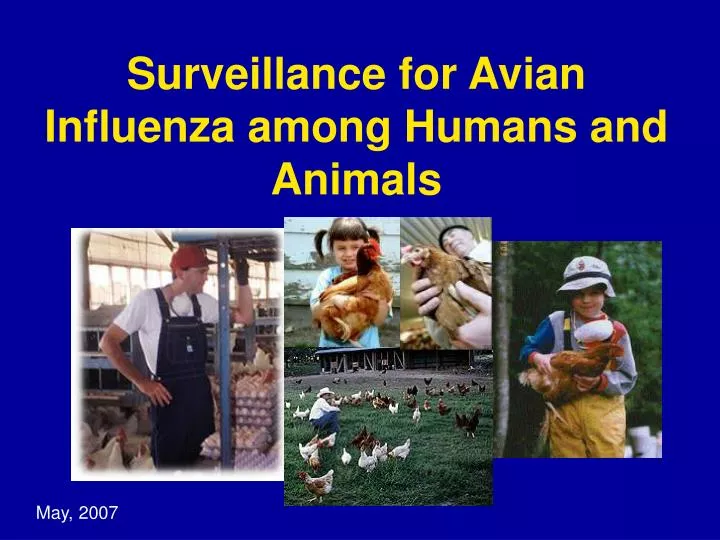 surveillance for avian influenza among humans and animals