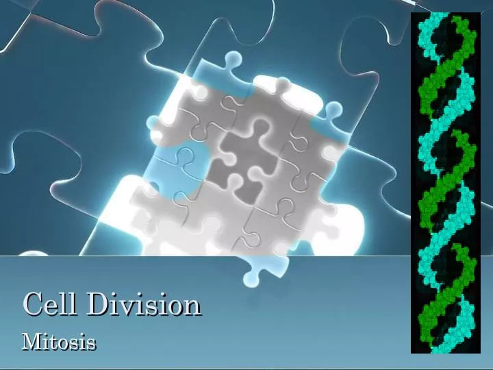 cell division