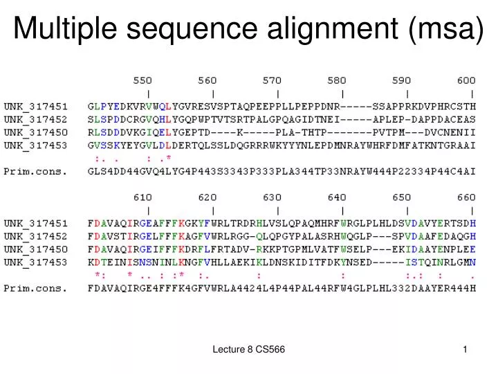 multiple sequence alignment msa