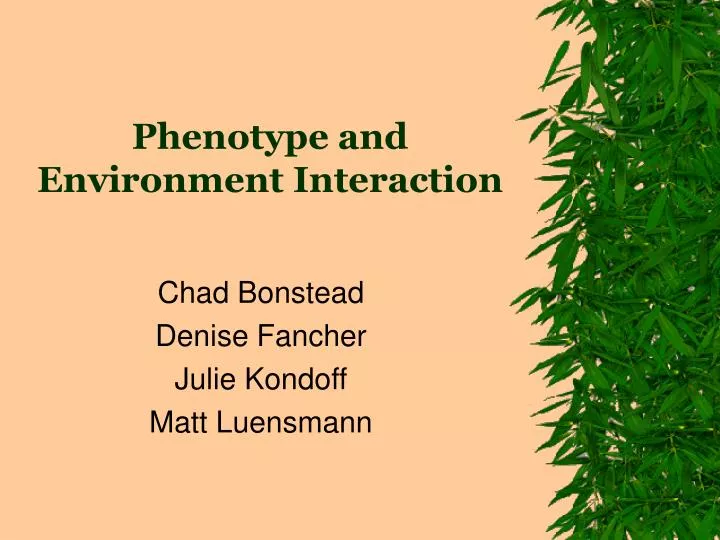 phenotype and environment interaction