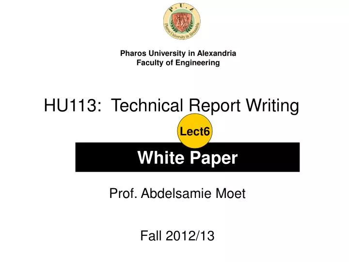 hu113 technical report writing