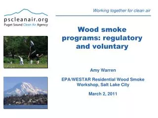 Wood smoke programs: regulatory and voluntary