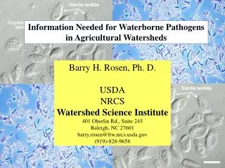 Information Needed for Waterborne Pathogens in Agricultural Watersheds