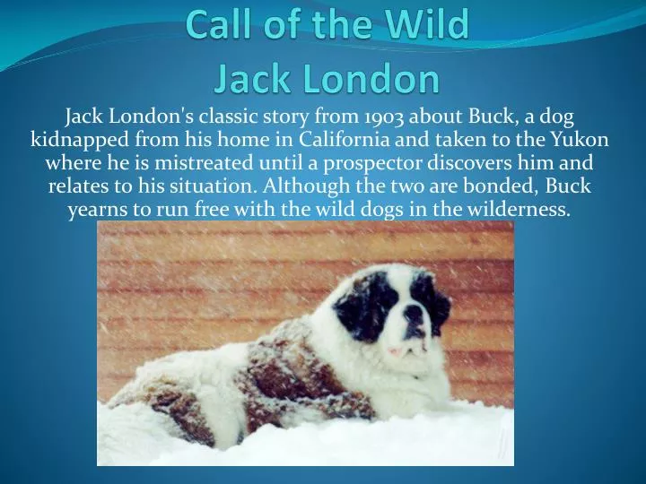 call of the wild jack london