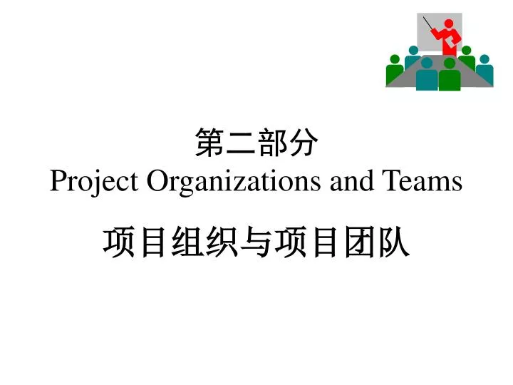 project organizations and teams