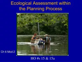 Ecological Assessment within the Planning Process
