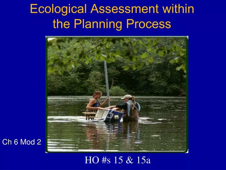 ecological assessment within the planning process