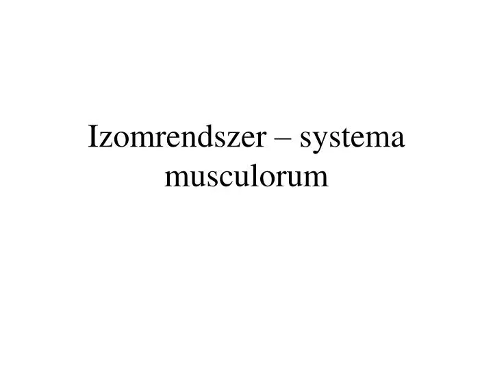 izomrendszer systema musculorum