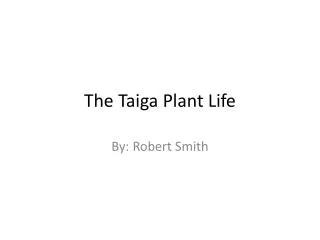 The Taiga Plant Life