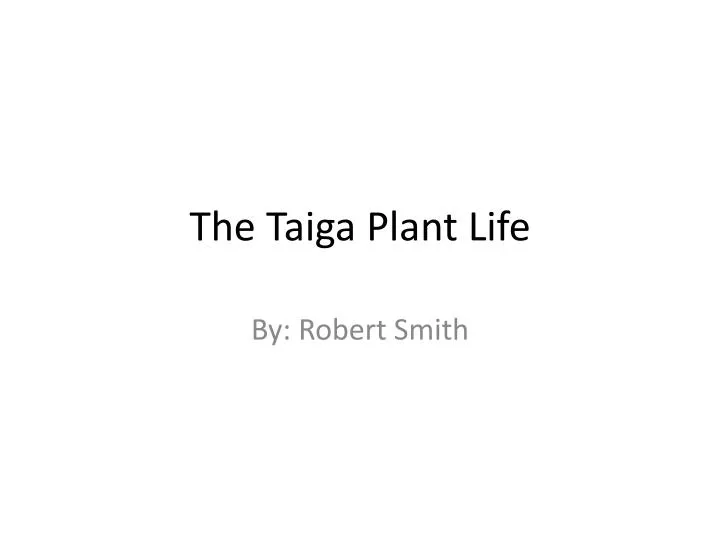 the taiga plant life