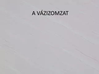 a v zizomzat