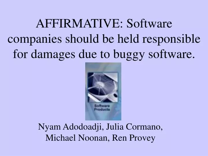 affirmative software companies should be held responsible for damages due to buggy software