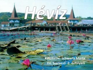 h v z