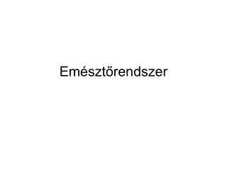 em szt rendszer