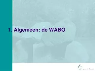 1 algemeen de wabo