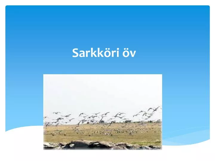 sarkk ri v