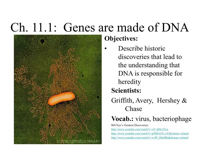 ch 11 1 genes are made of dna