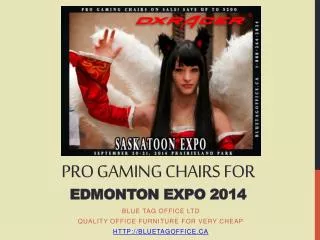 PRO Gaming Chairs for Edmonton Expo 2014 on SALE