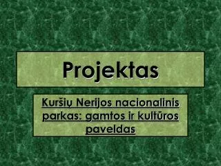 projektas