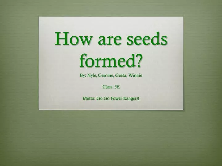 how are seeds formed