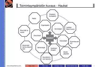 toimintaymp rist n kuvaus haukat