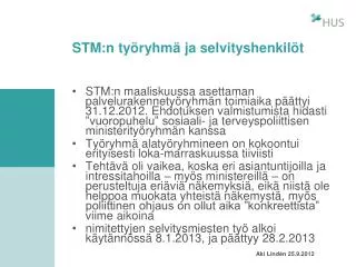 stm n ty ryhm ja selvityshenkil t