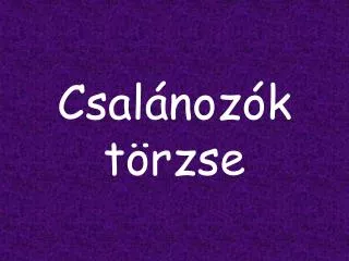 csal noz k t rzse