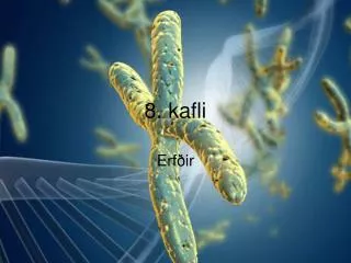 8 kafli