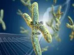 8. kafli - slide 1